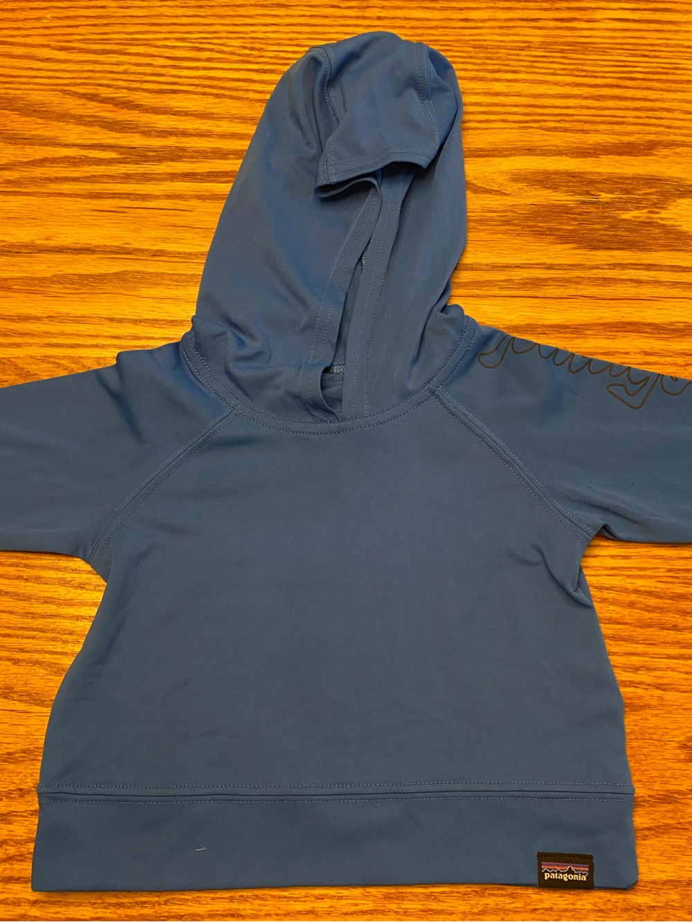 Patagonia Kids Blue Hooded Pullover
